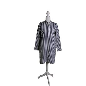 Everlane Blue White Long Sleeve Striped Shirt Dress By Madwell. Size 4 NWOT